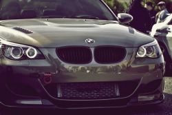 studiocanal5sp:  johnny-escobar: BMW M5 -