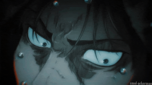 Levi's Eyes' Appreciation Post: