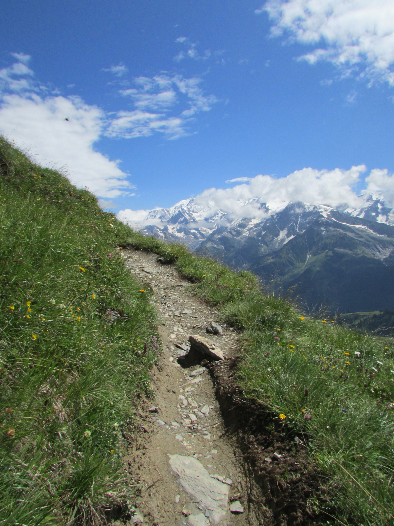 ciliated:i love the mountains