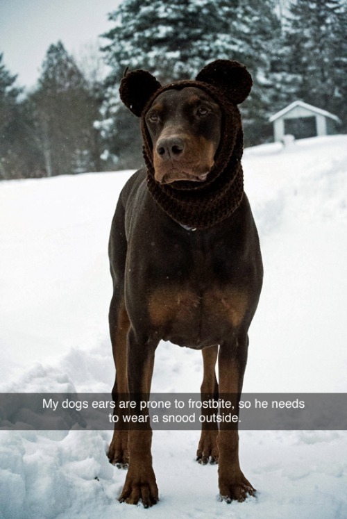 funny-gif-1:  Other Funny Gİfs http://funny-gif-1.tumblr.com/