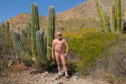 nudists-and-exhibitionists:Reblog from captainjefftech,