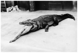 hauntedbystorytelling: Helmut Newton :: Scene from Pina Bausch’s Ballet, 1983    