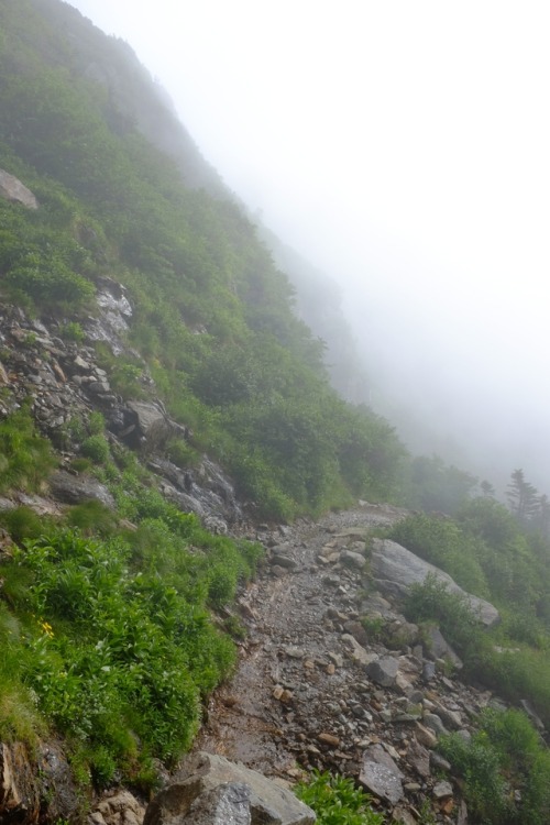 pedrodynomite:misty mountain trail