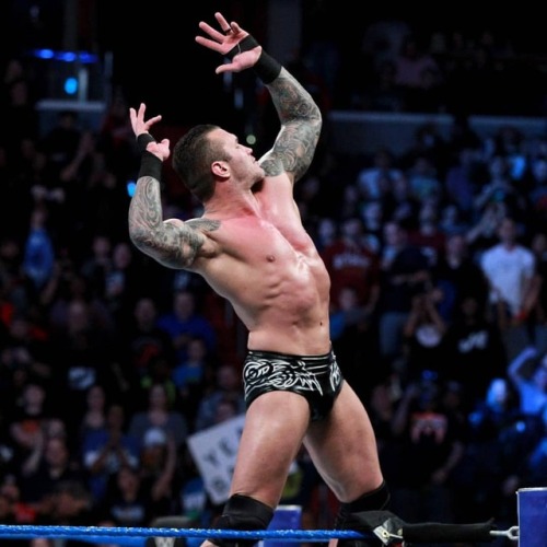 @randyorton ❤❤❤❤