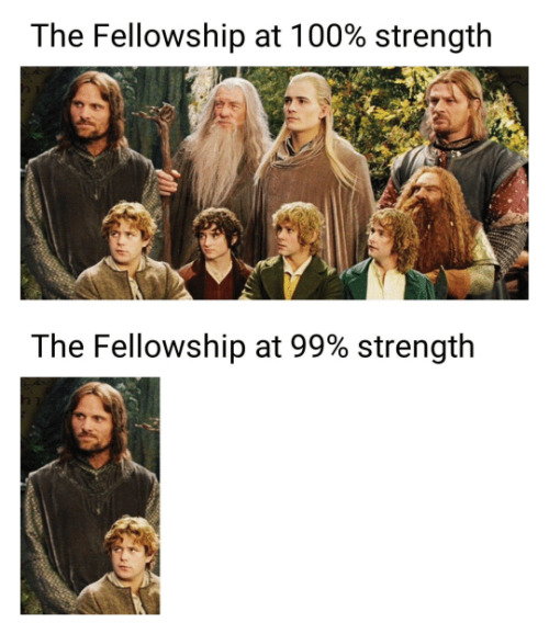 eggspert: The Fellowship at 98% strength