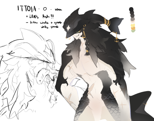 Meet Ittoia !