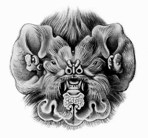 elespermatozoidemesozoico:  HOLY CRAP! LOOK AT THIS! I was just looking some things about bats in Wikipedia and found this! Mormoops blainvilli, the Antillean ghost-faced bat! 