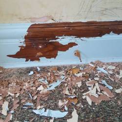 Is there any way to remove paint from wood trim without chemically stripping it? This is taking forever. by londonandrews