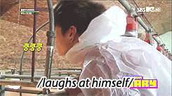 jaehyum:  Leo being a cute little shit with baby pigs 