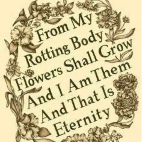  ✿ ˚ㅤi Love Flowers So Much Guys ✿ ˚ㅤ