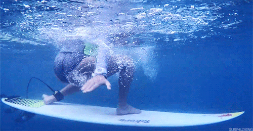 surf4living:  MAYA 