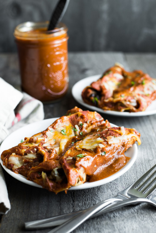 XXX fattributes:  Easy Chicken Enchiladas  photo