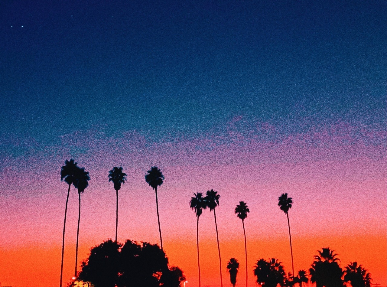 California nights ∞ #upload#california#southern california#socal#anaheim#orange county#california dreaming#sunset#sky#palm trees