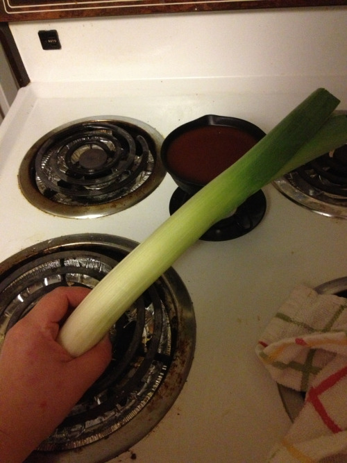 January 22- cooking with leeks makes me feel like a Farfetch’d