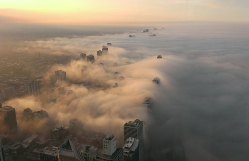  fog over (click pic) dubai (photographed by bjoern lauen and chloratine), shanghai (wei gensheng), chicago (steve raymer and bob gaudet), london (mpsinthesky), vancouver (andy clark), and new york (girish tewani) 