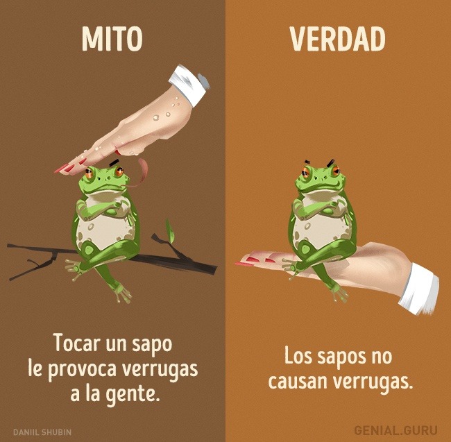 SUPER CACHONDEO