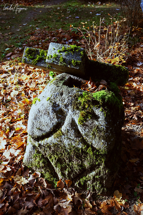 old grave