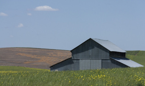 Palouse - Barns #4Source: Diane Williams’s Photography