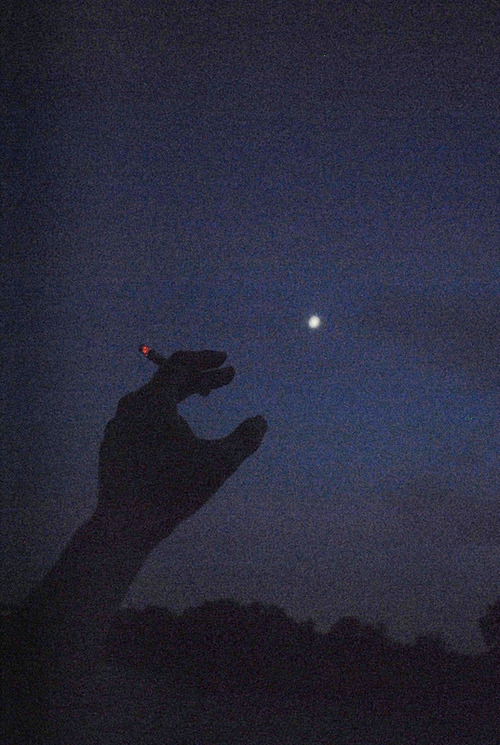 Captured by reality