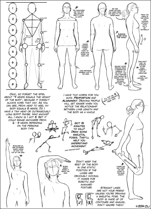 anatoref:Anatomy Tutorials, by DerSketchie