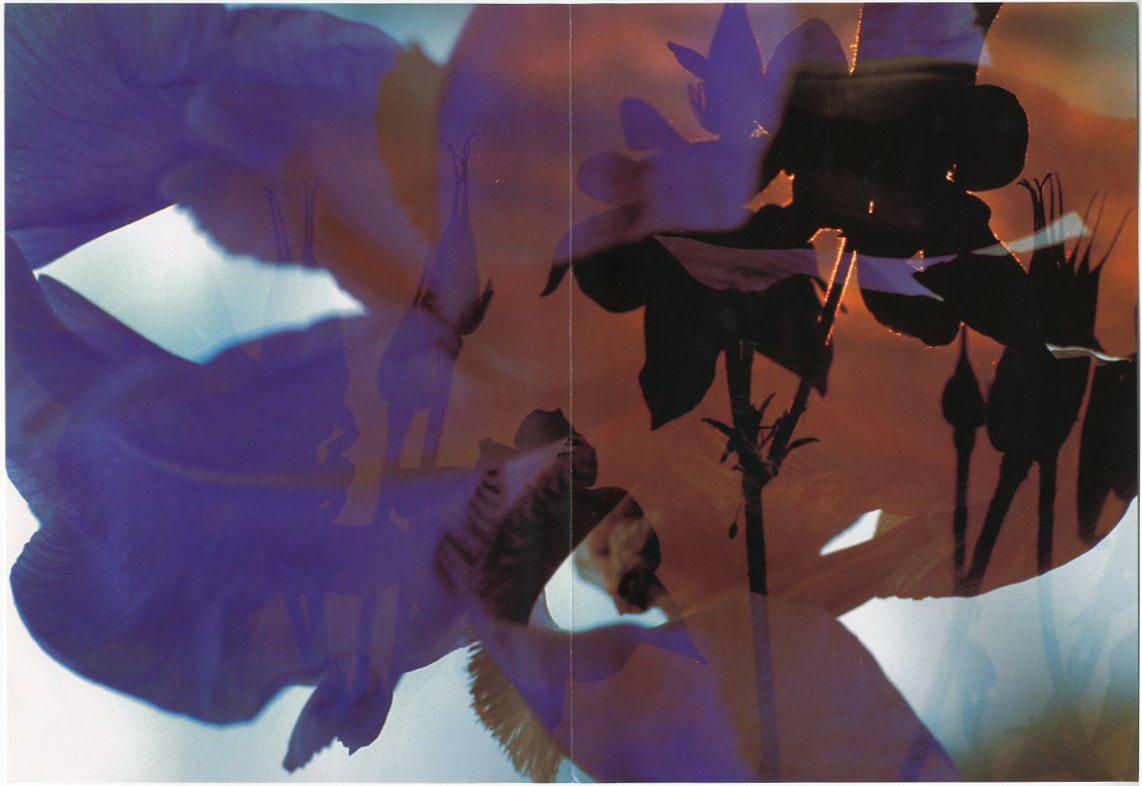 wir-click-wir: DAVID WEISS (1946-2012)Peter Fischli and David Weiss, Musée d'Art