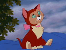 disney:  ♫ Cats and rabbits would reside