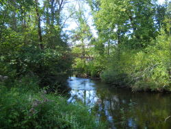 plantstho:  found this cute little stream on our walk but my brother thinks skinny dipping with your siblings is weird so i cant mark that off my bucket list yet 