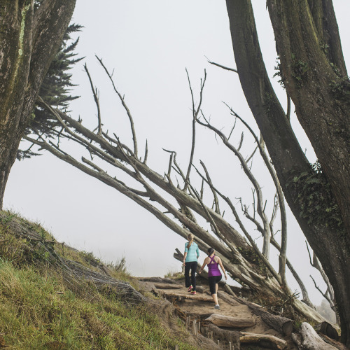 helenadagmar:  From a recent shoot with Nike. San Francisco/Marin, June 2013. http://helenaprice.com/nike-fuelband