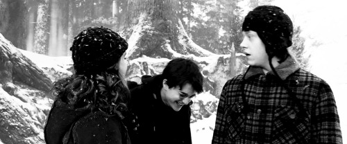 lilypottar:  “He knew that Ron and Hermione were more shocked than they were letting on, but the mere fact that they were still there on either side of him, speaking bracing words of comfort, not shrinking from him as though he were contaminated