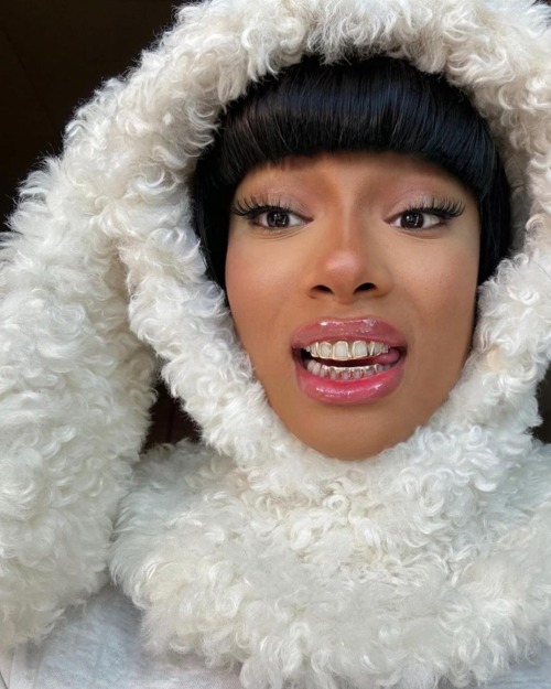 The Beautiful Meg Thee Stallion
