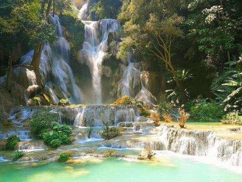 Kuang Si Waterfall, Luang Prabang, Laos. [2184x2730] [OC] - Author: crasyostrich on reddit #nature#travel#landscape#amazing#beautiful