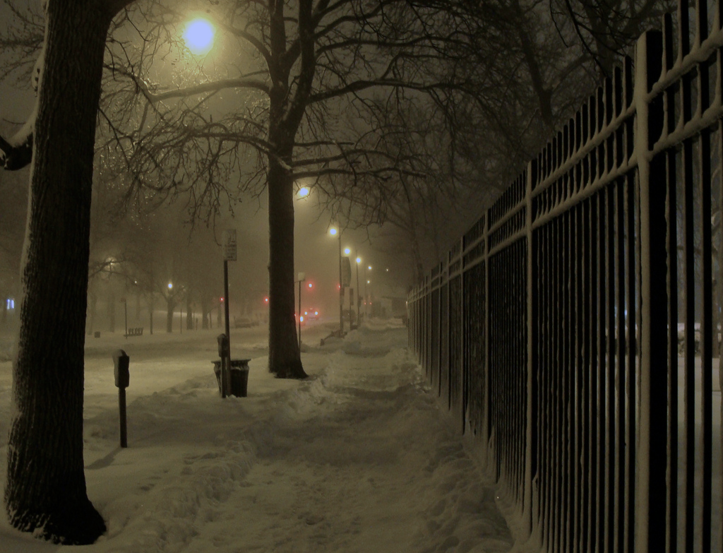 melisica:  (by Julia Manzerova)