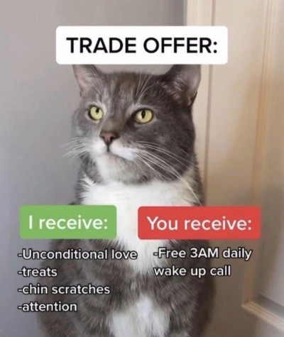 catasters: