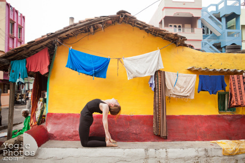 First yoga photos in six months :) Jacqui (with her husband Marc) in Mysore, India.Christine Hewitt 