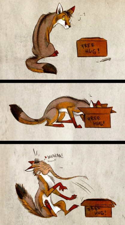 twizz-doodles:  azula-griffon:  verysaltyonions:  ask-ace-n-angel:  FOXES!!!  What  Hnnnn i remember reading these when i was 11 <33  Culpeo-fox senpai  YES I REMEMBER THESE  OMG Culpeo~ >w<