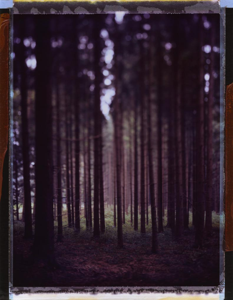 thispaintedbeanr:  foxmouth:  Polaroid Landscape Photography by Bastian K 80  thelife.