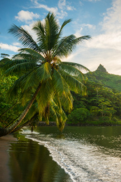 renamonkalou:   ”Tahiti afternoon”