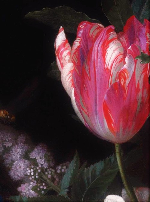 papillon-de-mai:Maria van Oosterwijck — Roses, a parrot tulip, carnations, ears of wheat, hyac