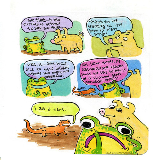 sketchshark: Here are the first few comics from a series I’ve started making about a regular toad.