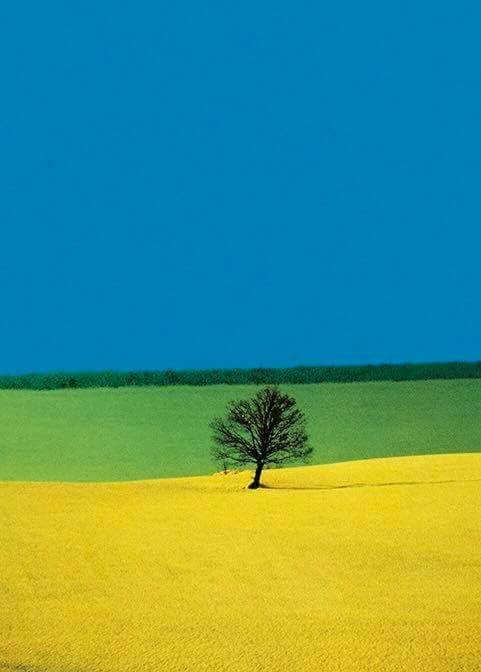 ceciliaiacopetti:Franco Fontana