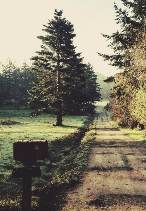 euphoricspirit:  Offset | by Tyler Forest-Hauser. 