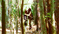 The Walking Dead