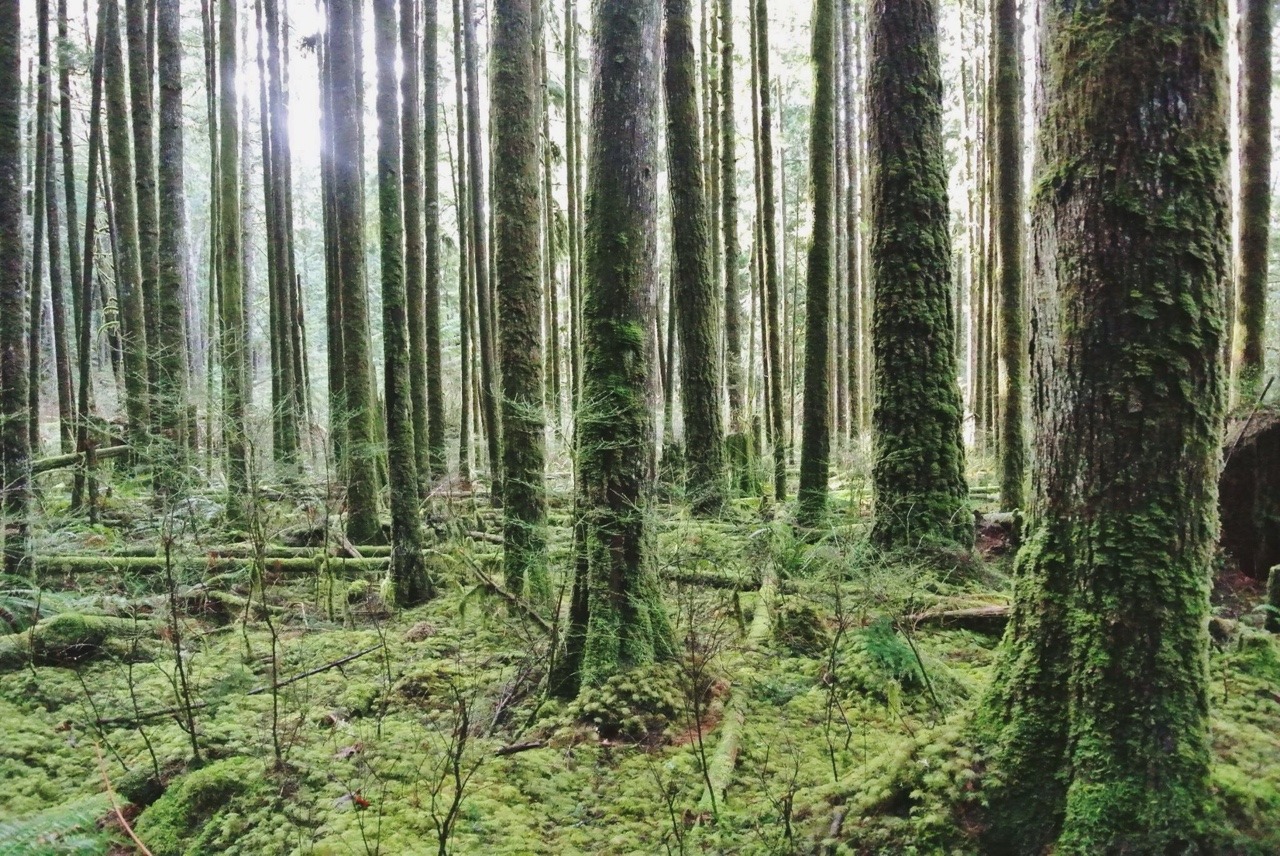 0nism:  Took advantage of the sunny break, got a little muddy and hiked 10km through