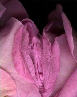 katietheslut:  Love, Katie the Slut