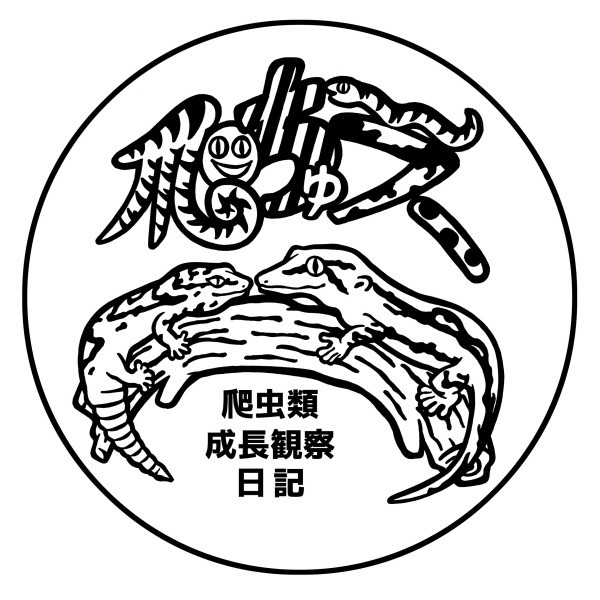 ポートフォリオ