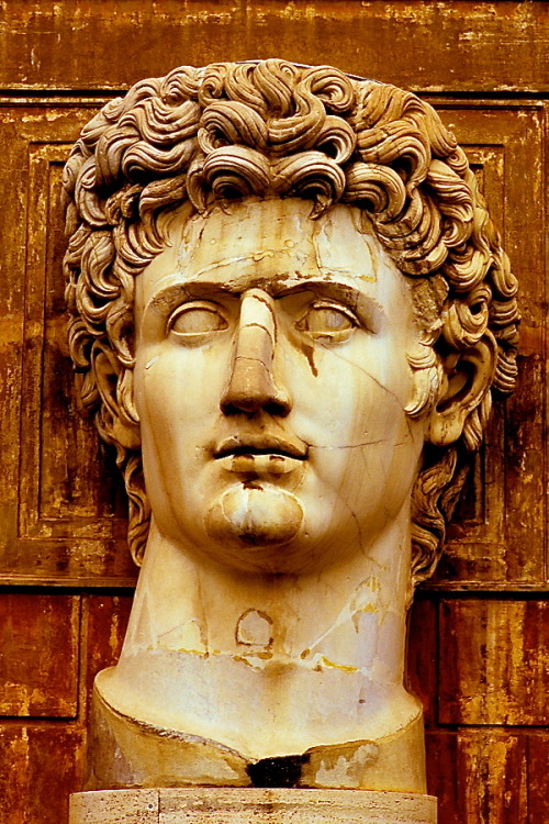 langoaurelian:Giant sculpted head of Caesar Augustus, Belvedere Courtyard, Vatican Museum, Vatican C