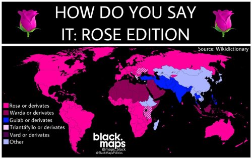 How Do You Say It: Rose Edition.