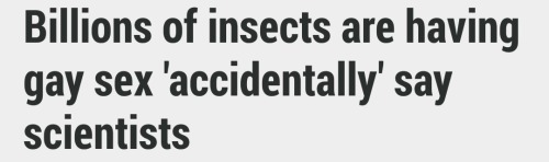 hestmord: haha. “accidentally”. look at this horseshit. science isnt ready for Gay Bugs