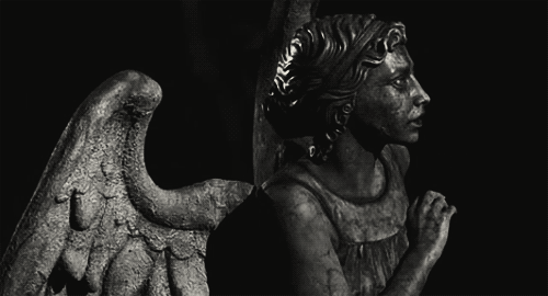 laughingtillweredead:  B&amp;W/Horror Movies/Gifs - don’t look at them and