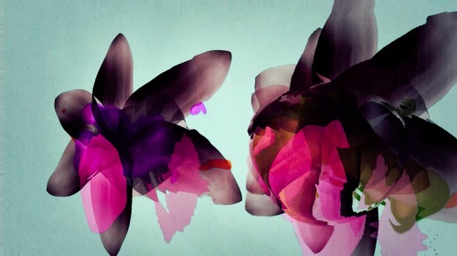 Procedural Water ColoursStills from the gorgeous audio-visual experiment ‘Lilium’. Creat
